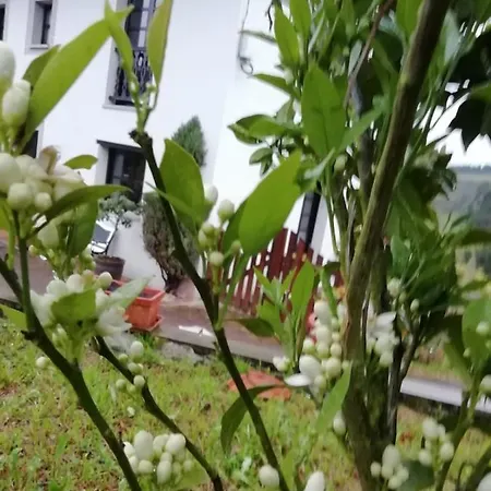 El Oteru I Landsted *