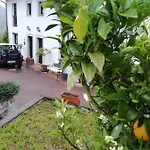 El Oteru I * Villaviciosa (Asturias)