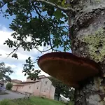 Country house El Oteru I