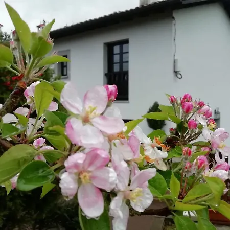 Séjour à la campagne El Oteru I *
