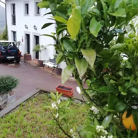 El Oteru I * Villaviciosa (Asturias)