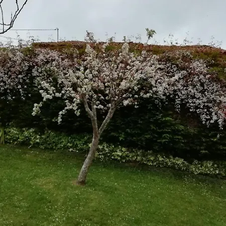 Gospodarstwo wiejskie El Oteru I Villaviciosa (Asturias)