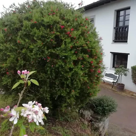 El Oteru I *