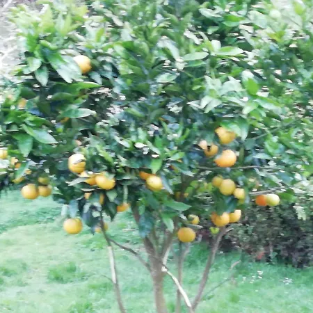 Летний дом El Oteru I *