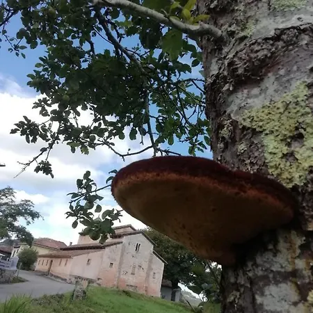 Casa rural El Oteru I